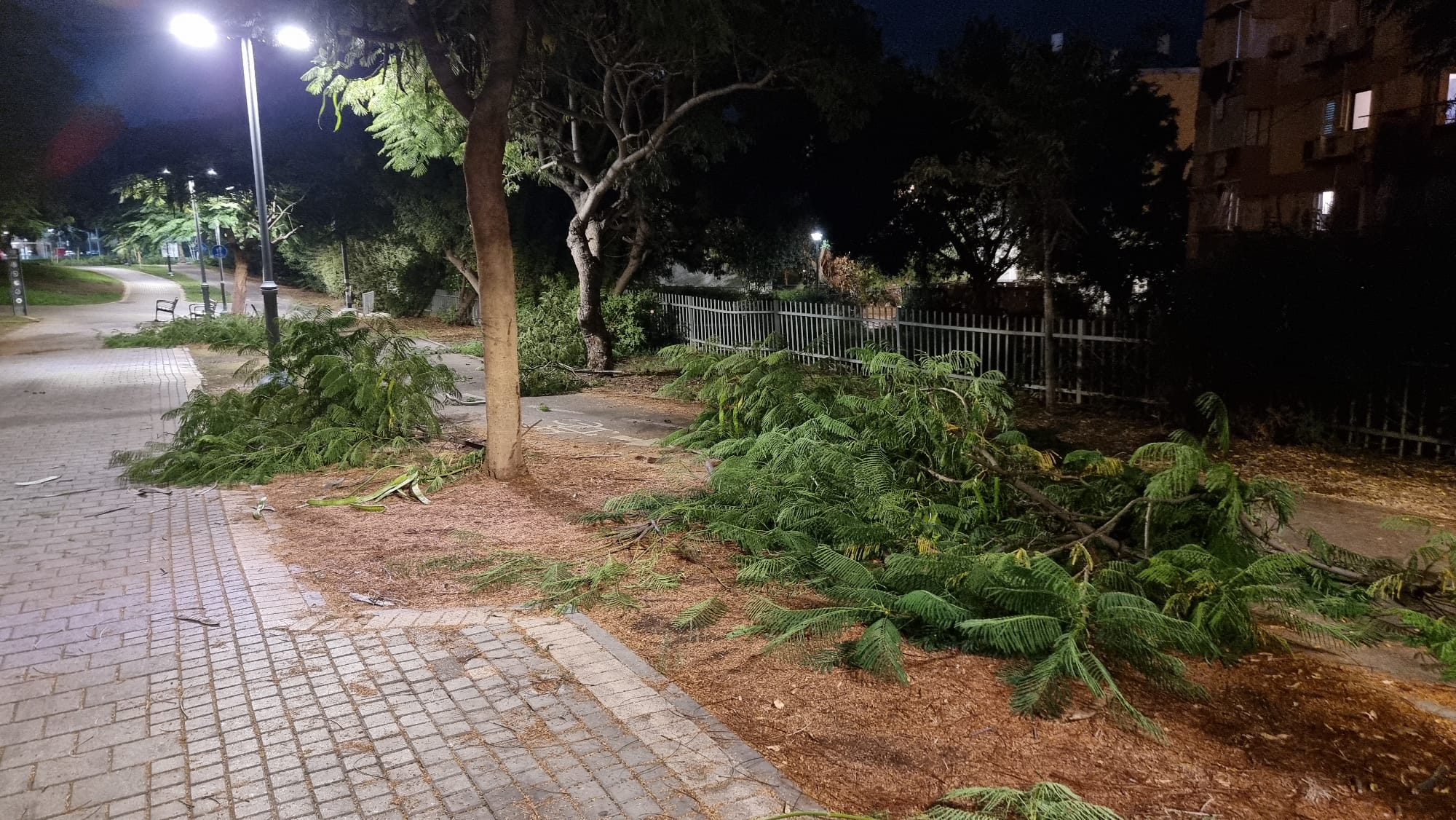 WhatsApp Image 2022-11-09 at 12.22.11 PM.jpeg